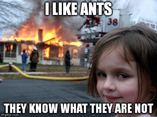 i_like_ants.jpg